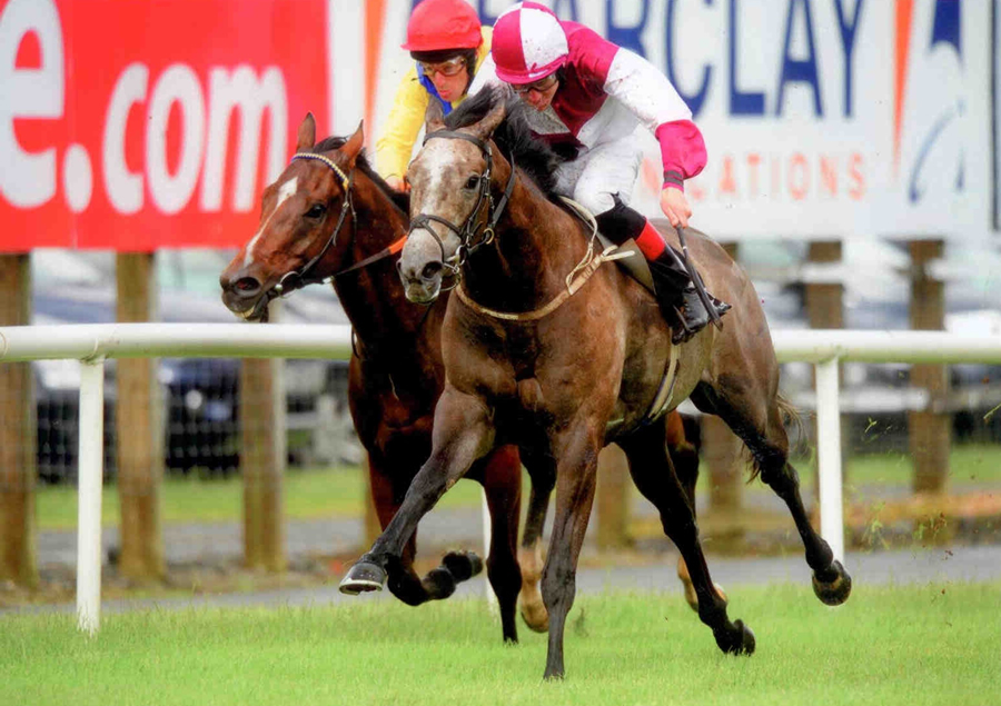 TOCCATA BLUE - winning at Down Royal 22nd June